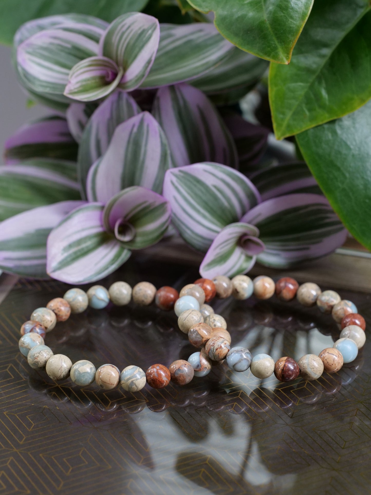 Aqua Terra Jasper 8mm Beaded Natural Gemstone Elastic Bracelet, Genuine Top Grade Gift Jewelry, Men Women Fashion Crystal Energy Jewellery