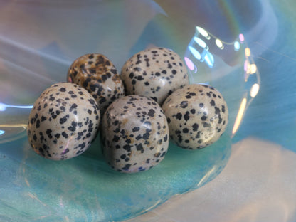 Dalmatian Jasper Natural Tumbled Gemstones