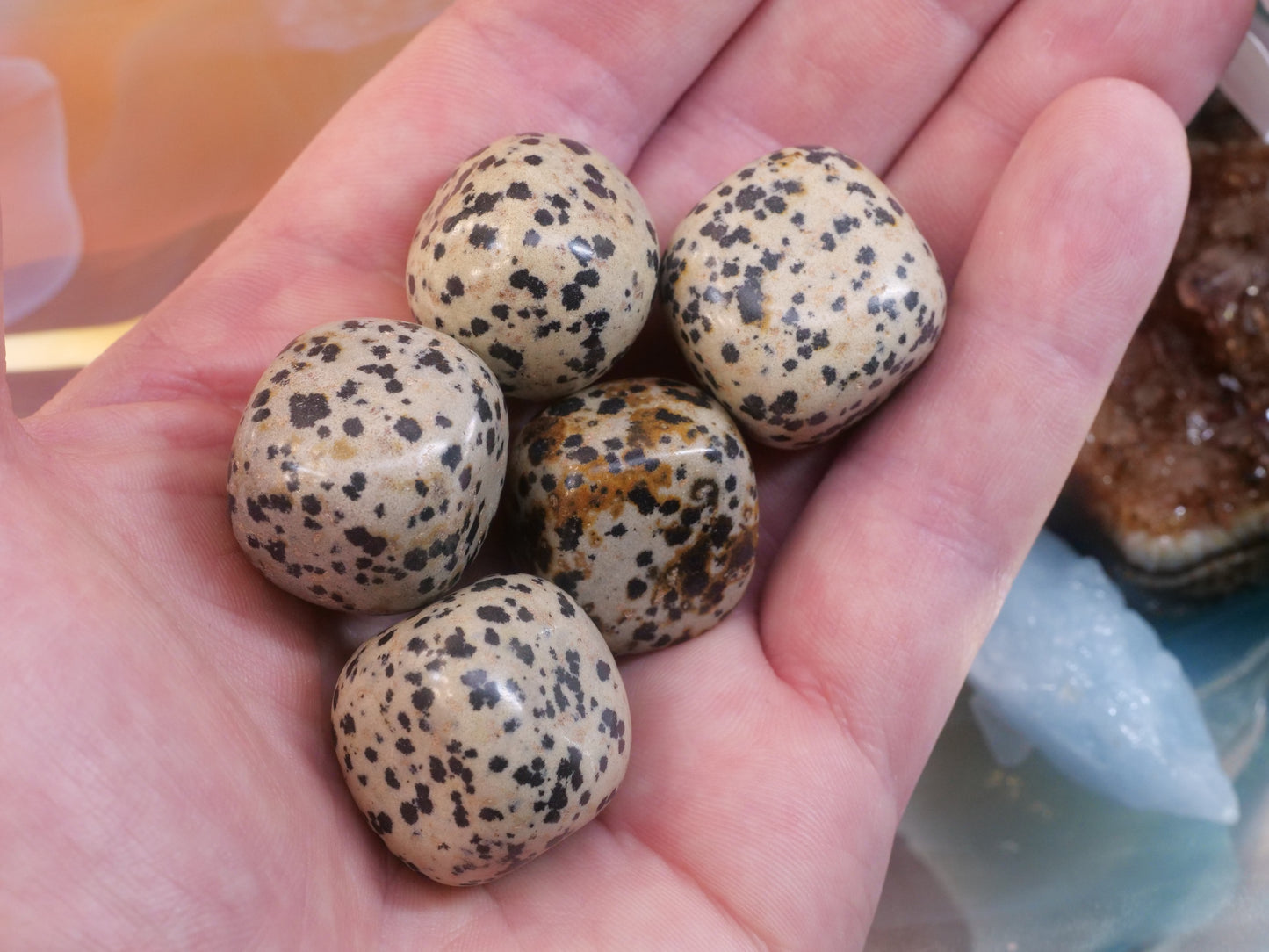 Dalmatian Jasper Natural Tumbled Gemstones