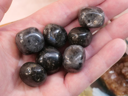 Larvikite Natural Tumbled Gemstones