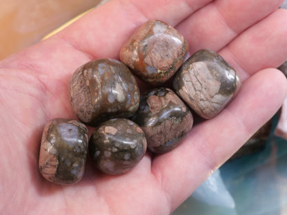 Llanite Opal Natural Tumbled Gemstones