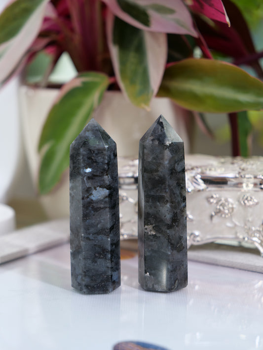 Larvikite 2.8-inch Natural Energy Crystal Tower Point Mineral Gemstone, Home Decoration Obelisk Gift Meditation Wand Gem