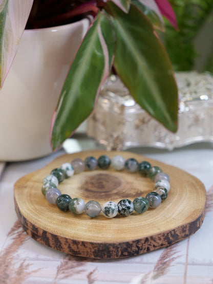 Tree Agate 8mm Beaded Natural Gemstone Elastic Bracelet, Genuine Top Grade Gift Jewelry, Men Women Fashion Crystal Energy Jewellery