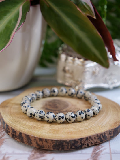 Dalmatian Jasper 8mm Beaded Natural Gemstone Elastic Bracelet, Genuine Top Grade Gift Jewelry, Men Women Fashion Crystal Energy Jewellery