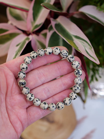 Dalmatian Jasper 8mm Beaded Natural Gemstone Elastic Bracelet, Genuine Top Grade Gift Jewelry, Men Women Fashion Crystal Energy Jewellery