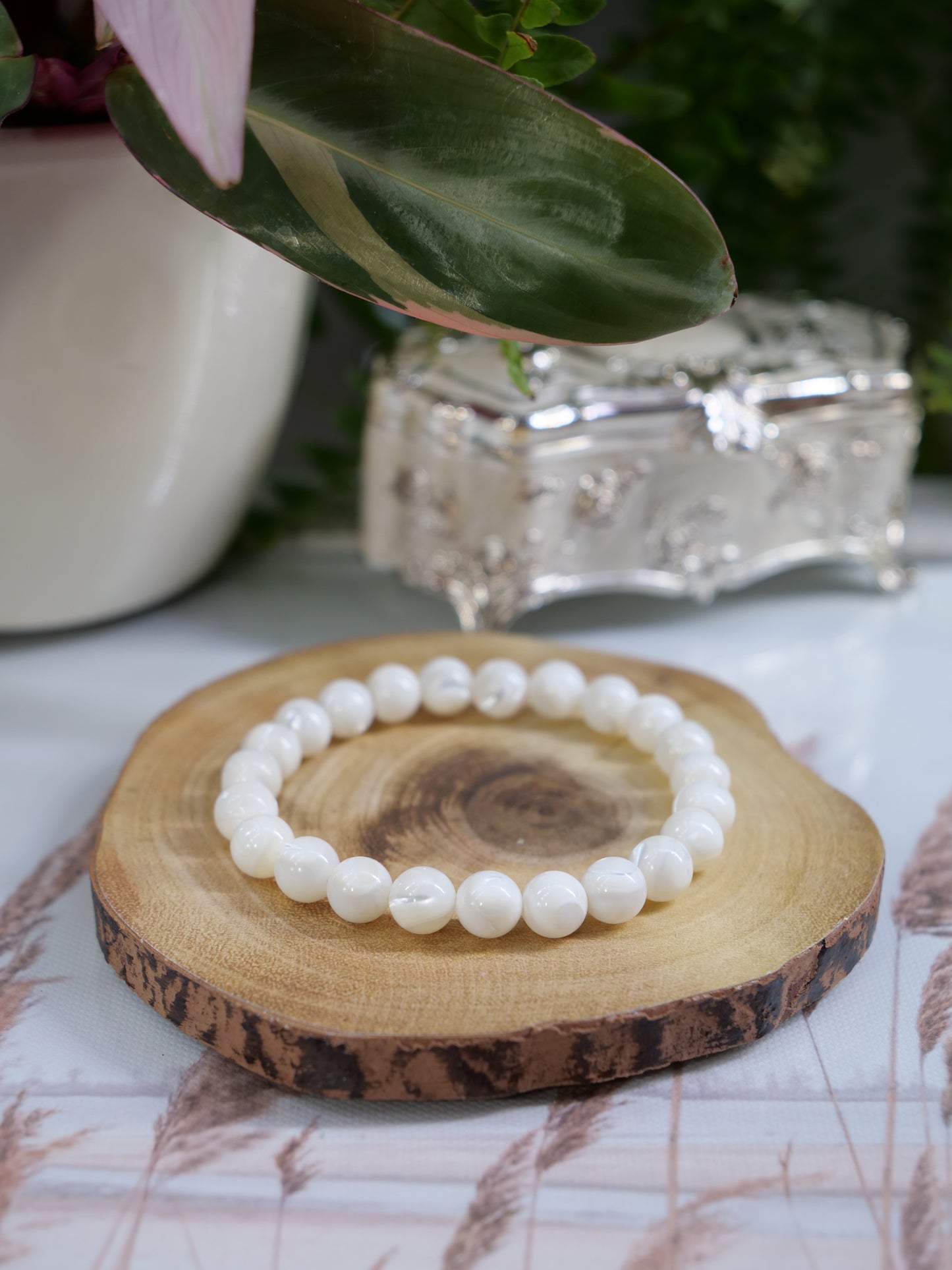 Trochidae White Shell 8mm Beaded Natural Gemstone Elastic Bracelet, Genuine Top Grade Gift Jewelry, Men Women Fashion Crystal Energy Jewellery