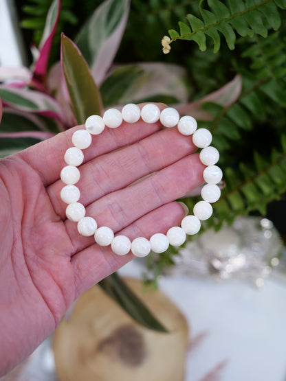 Trochidae White Shell 8mm Beaded Natural Gemstone Elastic Bracelet, Genuine Top Grade Gift Jewelry, Men Women Fashion Crystal Energy Jewellery