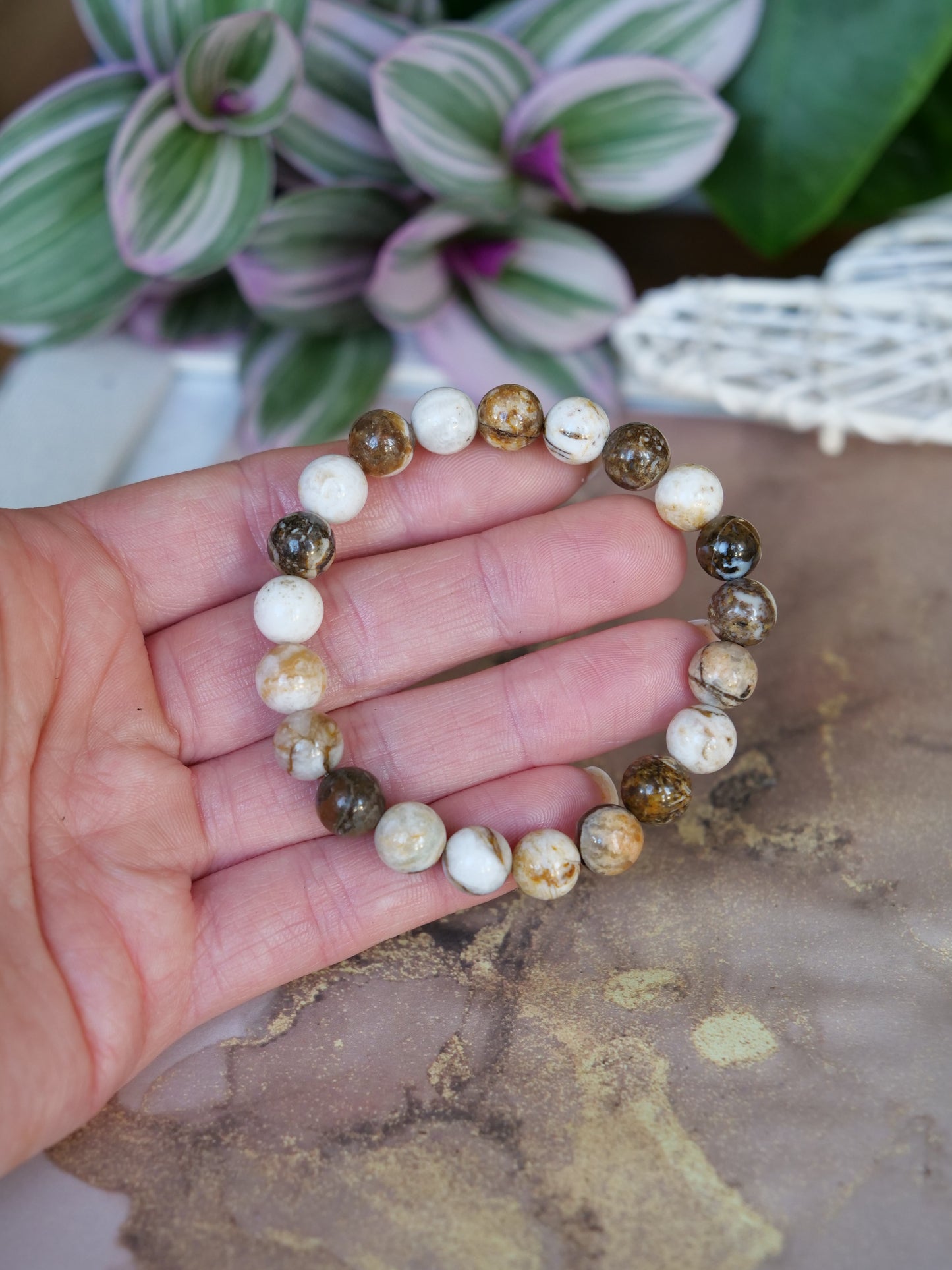 Petrified Wood 8mm Beaded Natural Gemstone Elastic Bracelet, Genuine Top Grade Gift Jewelry, Men Women Fashion Crystal Energy Jewellery