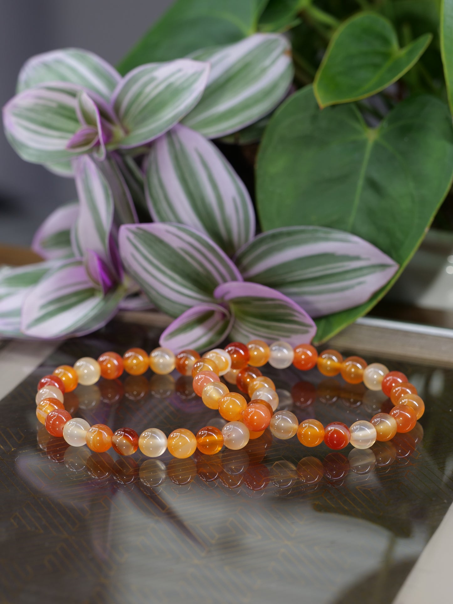 Orange Carnelian 8mm Beaded Natural Gemstone Elastic Bracelet, Genuine Top Grade Gift Jewelry, Men Women Fashion Crystal Energy Jewellery