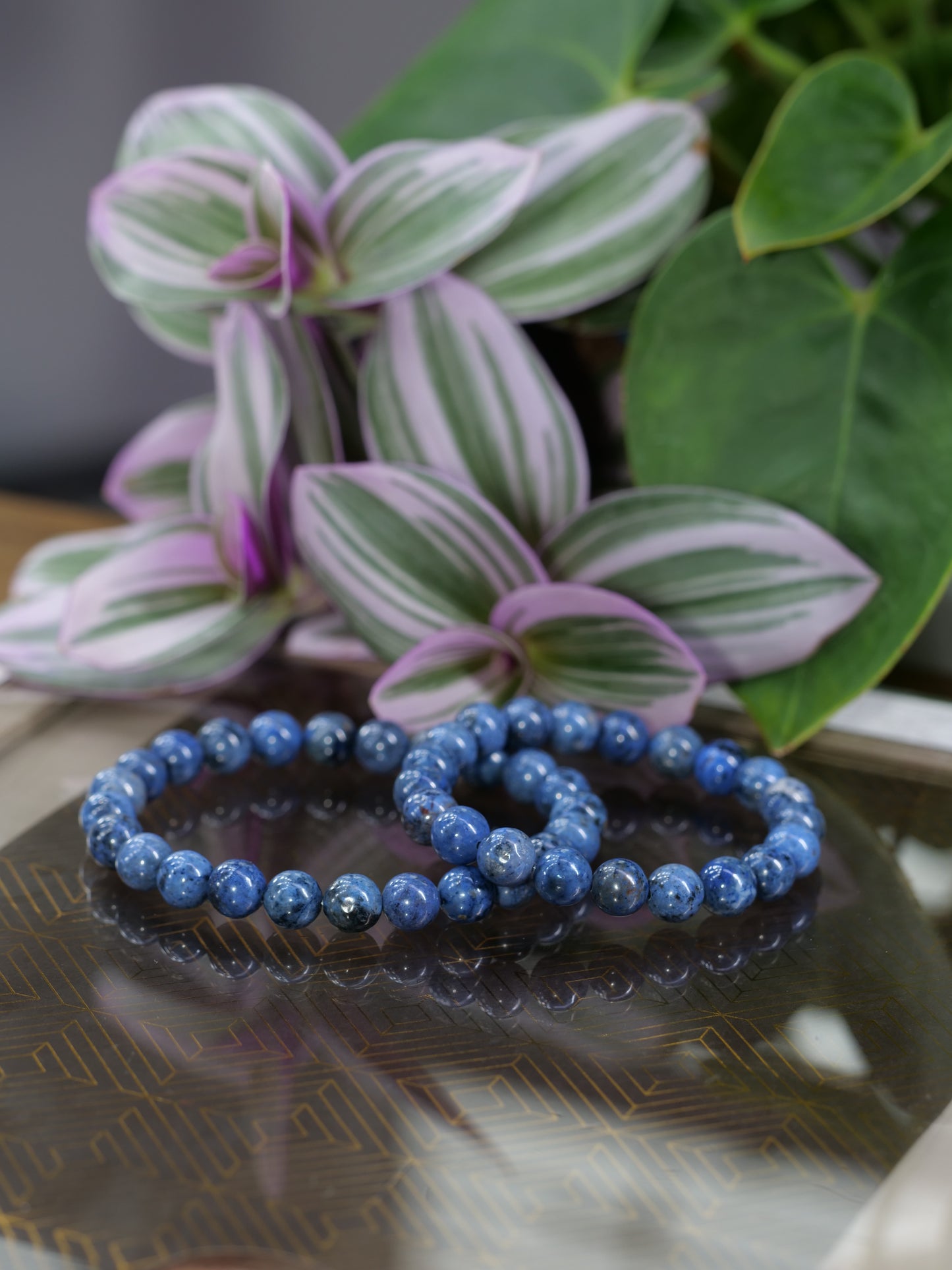 Dumortierite 8mm Beaded Natural Gemstone Elastic Bracelet, Genuine Top Grade Gift Jewelry, Men Women Fashion Crystal Energy Jewellery