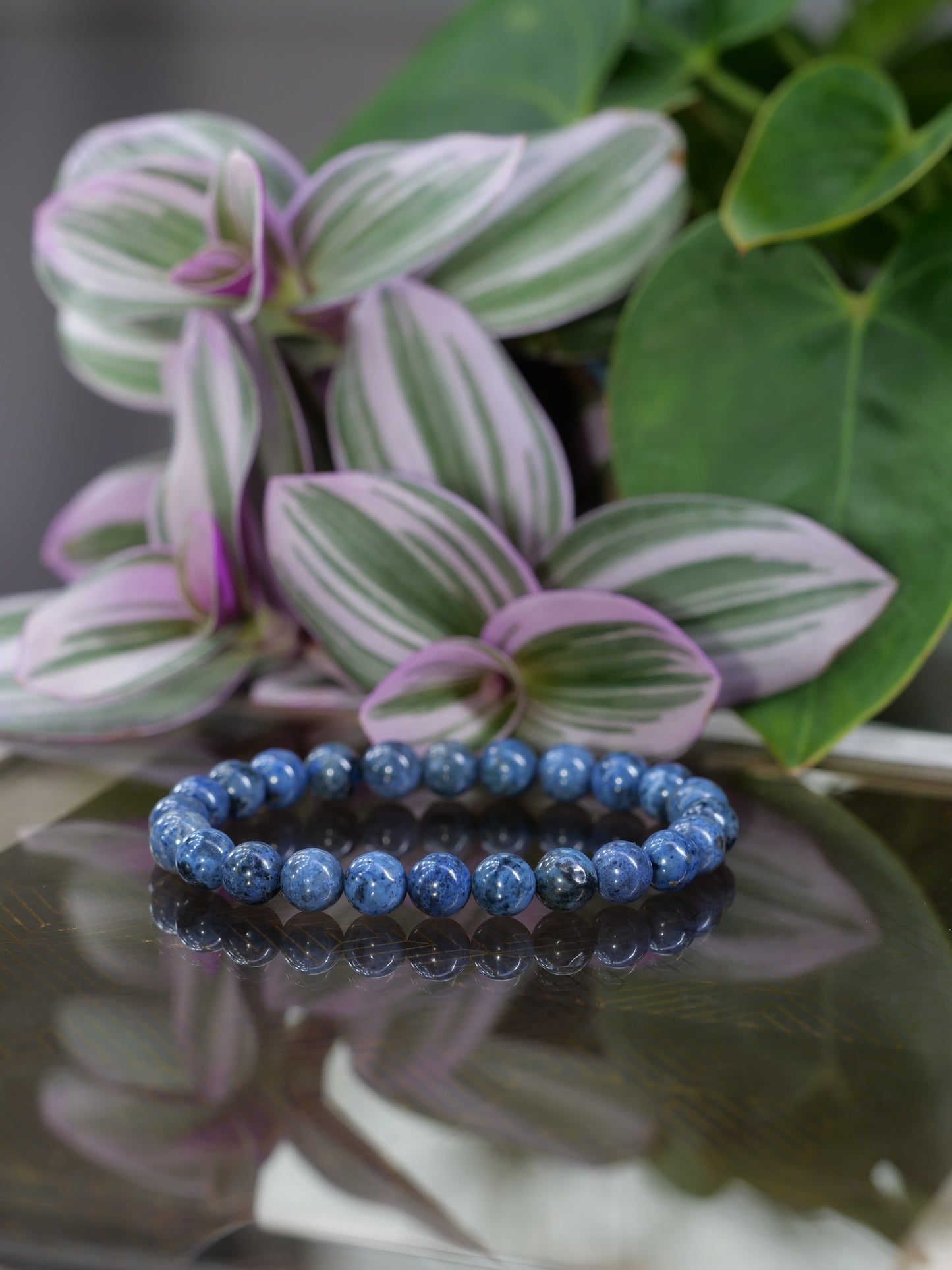 Dumortierite 8mm Beaded Natural Gemstone Elastic Bracelet, Genuine Top Grade Gift Jewelry, Men Women Fashion Crystal Energy Jewellery