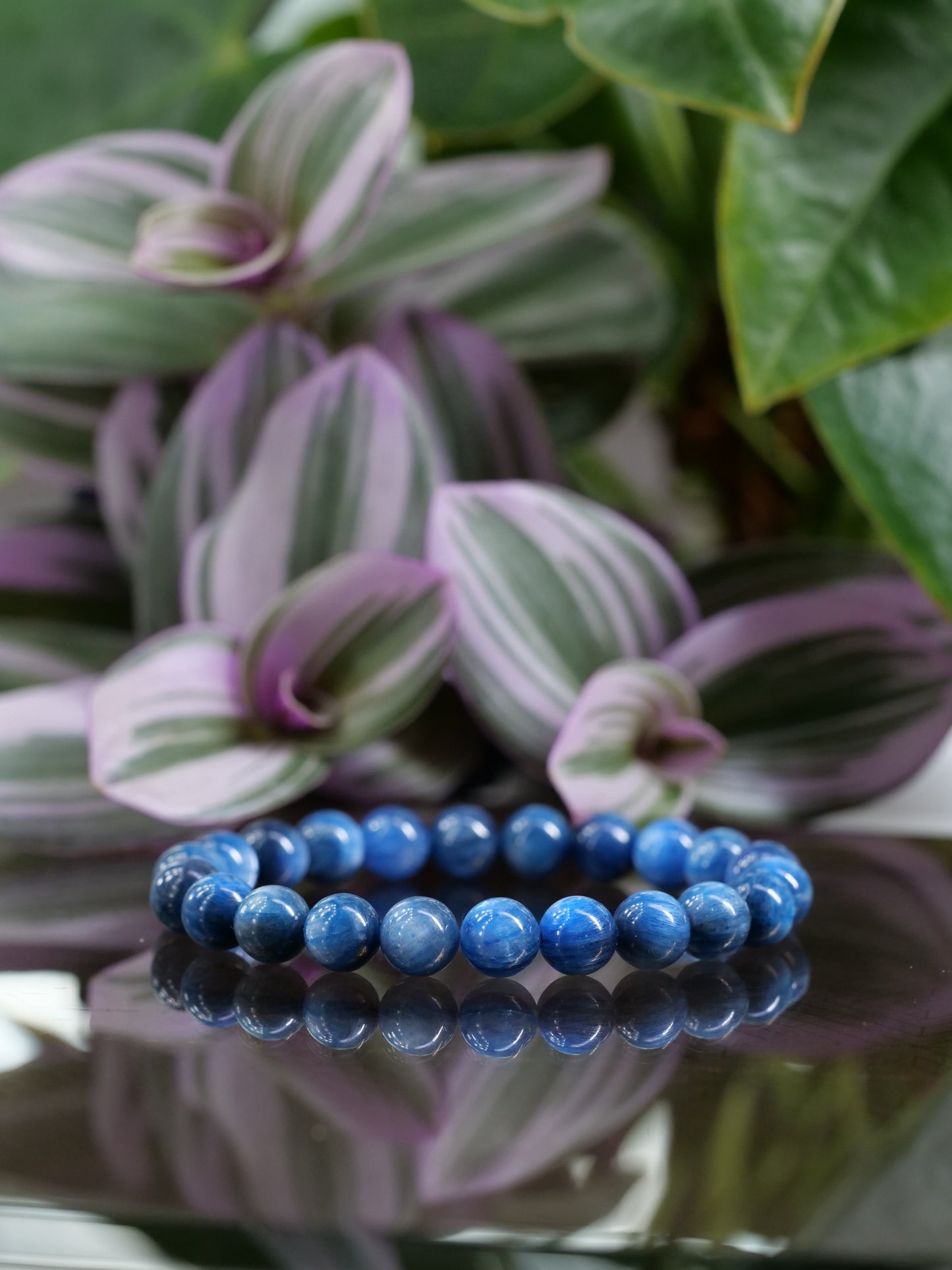 Blue Kyanite 8mm Beaded Natural Gemstone Elastic Bracelet, Genuine Top Grade Gift Jewelry, Men Women Fashion Crystal Energy Jewellery