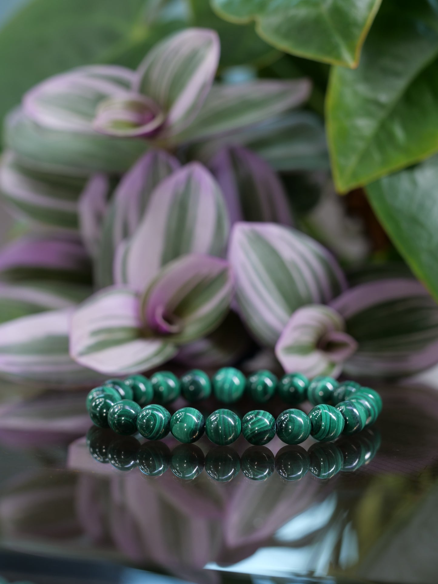 Malachite 8mm Beaded Natural Gemstone Elastic Bracelet, Genuine Top Grade Gift Jewelry, Men Women Fashion Crystal Energy Jewellery