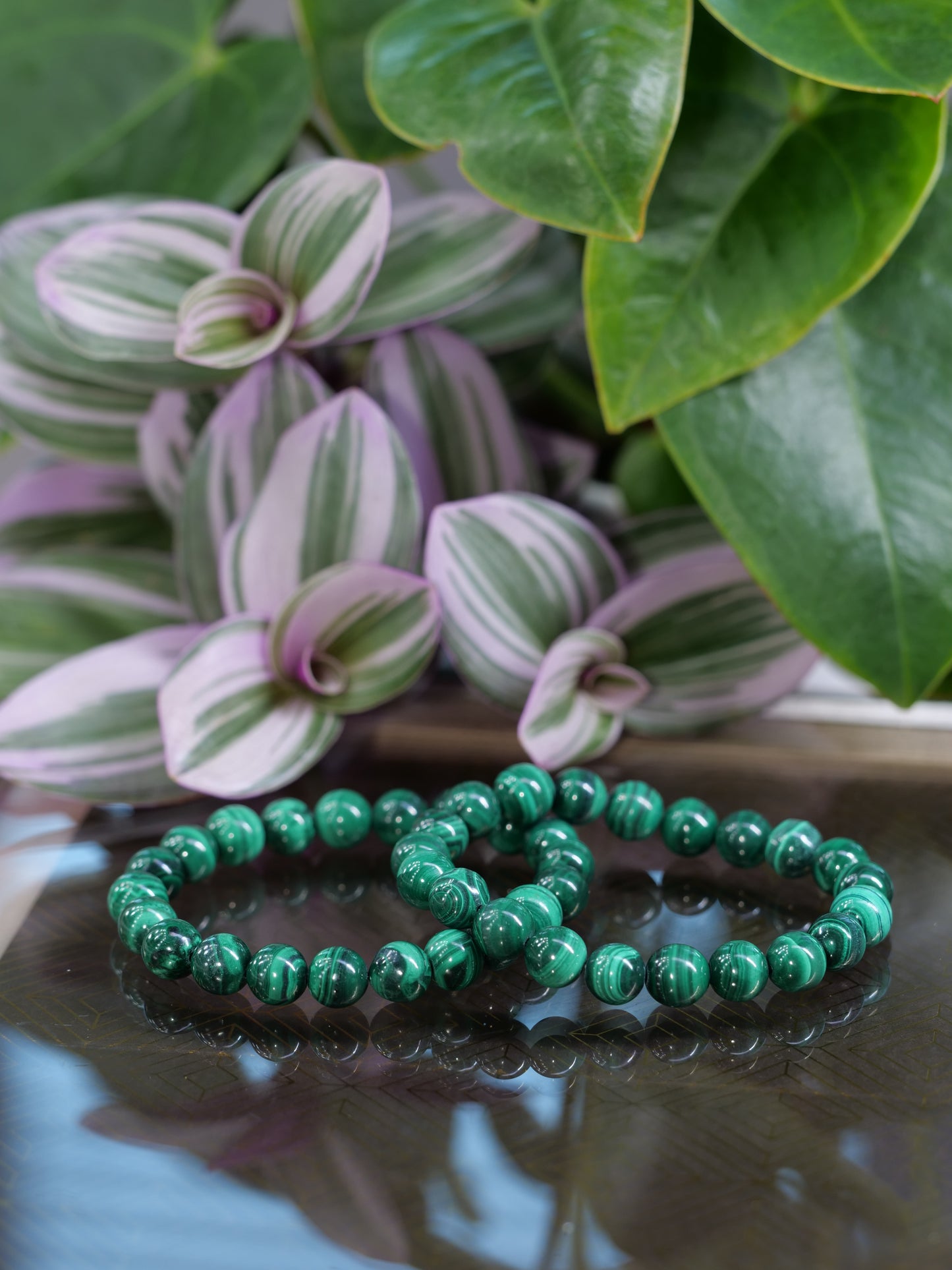 Malachite 8mm Beaded Natural Gemstone Elastic Bracelet, Genuine Top Grade Gift Jewelry, Men Women Fashion Crystal Energy Jewellery