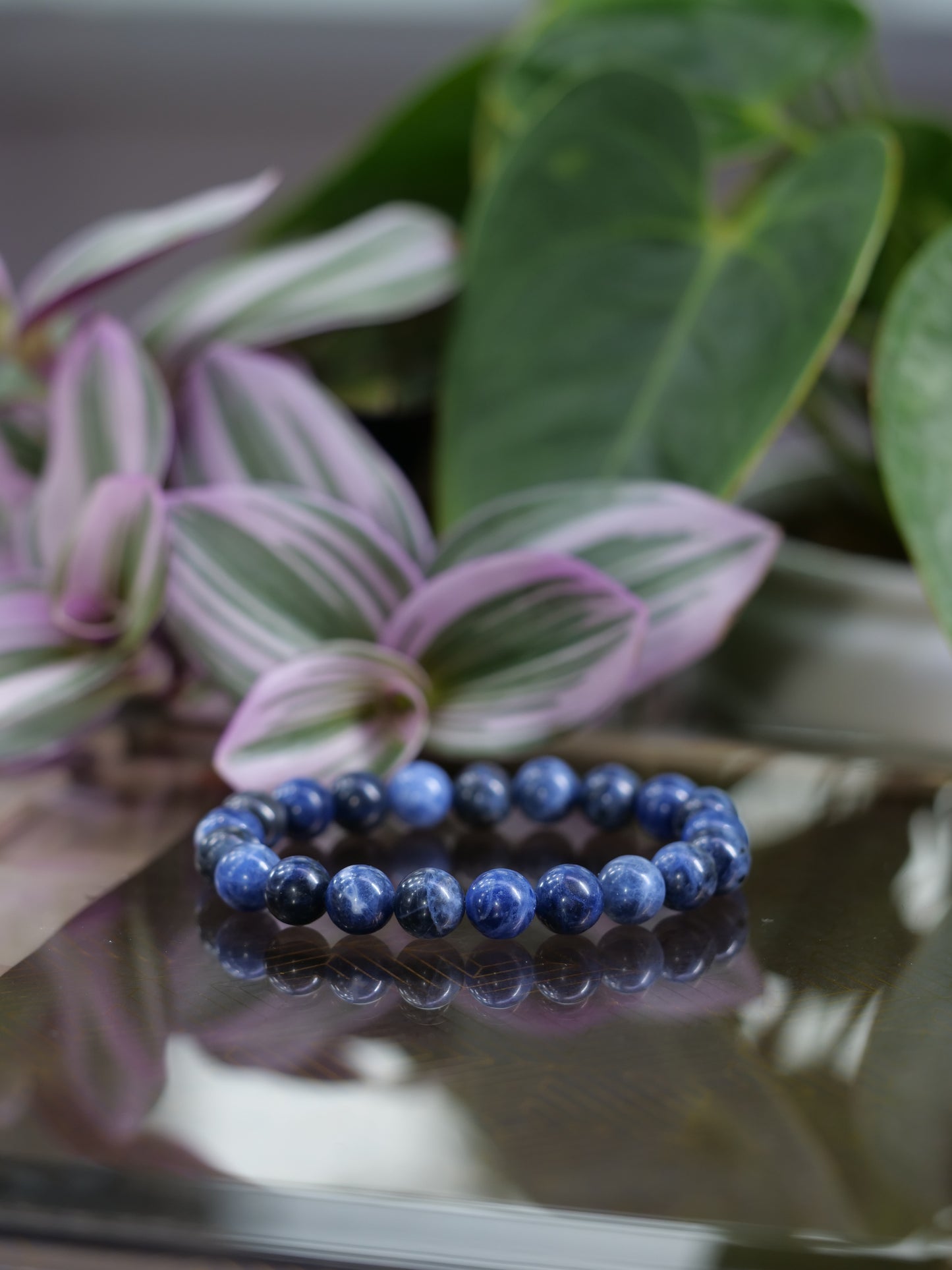 Sodalite 8mm Beaded Natural Gemstone Elastic Bracelet, Genuine Top Grade Gift Jewelry, Men Women Fashion Crystal Energy Jewellery