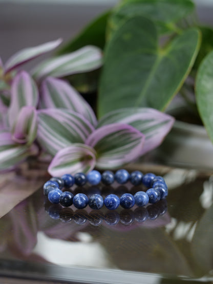 Sodalite 8mm Beaded Natural Gemstone Elastic Bracelet, Genuine Top Grade Gift Jewelry, Men Women Fashion Crystal Energy Jewellery