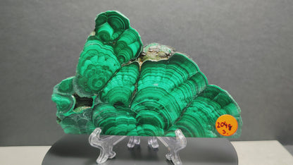 Malachite Natural Slab Gemstone