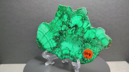 Malachite Natural Slab Gemstone